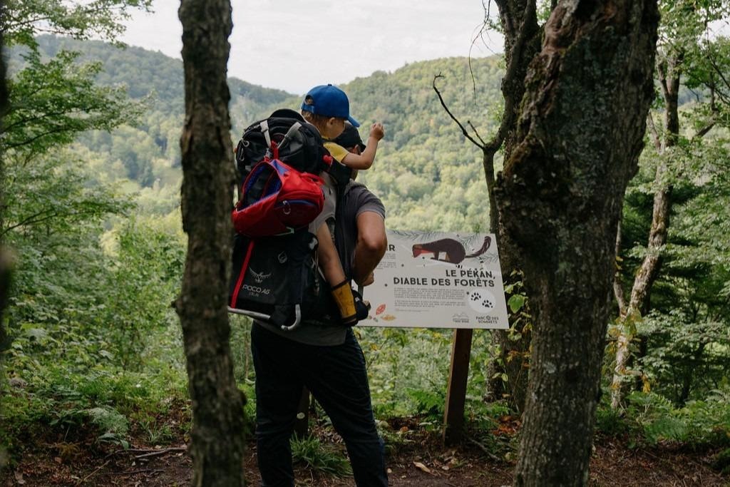 Easy Ways to Explore Nature Close to Home with Kids
